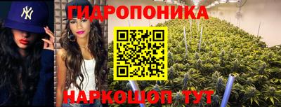 МДПВ Лесосибирск